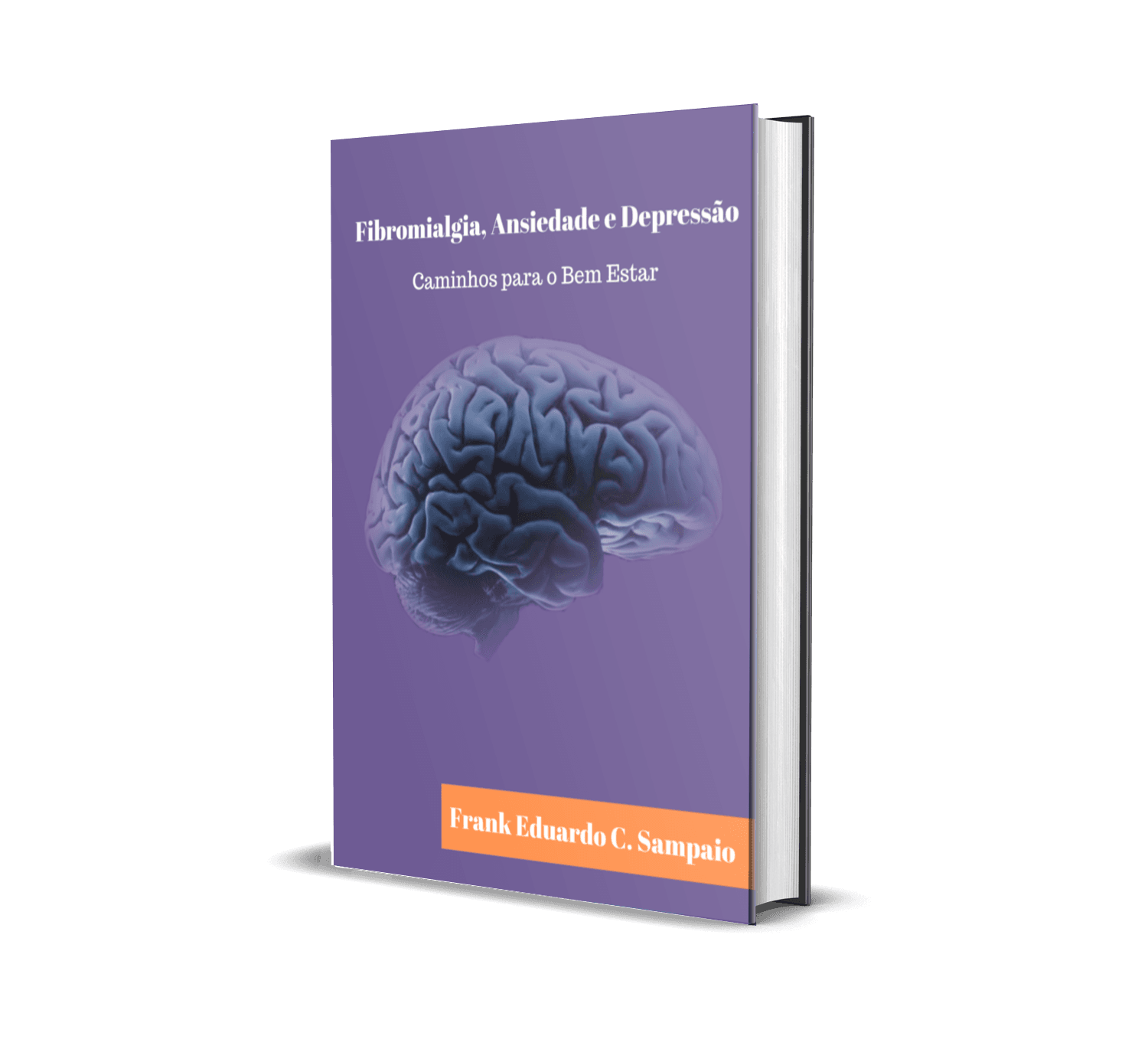 Capa do ebook Fibromialgia, Ansiedade e Depressão — Caminhos para o Bem Estar